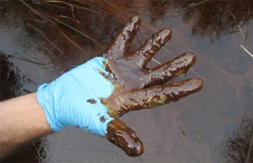 oil in sundarbans 512x331 - Sundarbans Are Fake