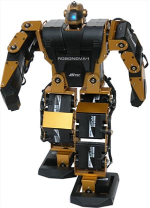 Friendly Humanoid Robot: RoboNova